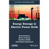 Energy Storage in Electric Power Grids