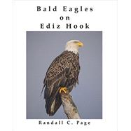 Bald Eagles on Ediz Hook