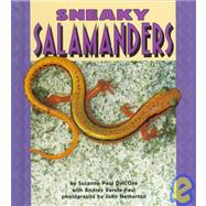 Sneaky Salamanders