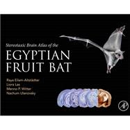 Stereotaxic Brain Atlas of the Egyptian Fruit Bat