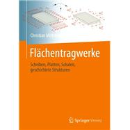 Flächentragwerke