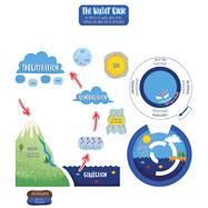 The Water Cycle Bulletin Board Set