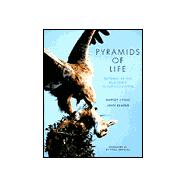 Pyramids of Life : Patterns of Life and Death in the Ecosystem