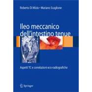 Ileo Meccanico Dell'intestino Tenue: Aspetti Tc E Correlazioni Eco-radiografiche