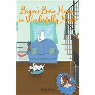 Boyer's Barn House in Wonderfully Made