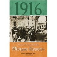 1916 A Novel of the Irish Rebellion,9780765386144