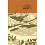 McSweeney's Issue 15