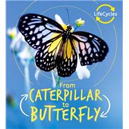 Lifecycles: Caterpillar to Butterfly