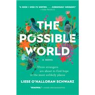 The Possible World A Novel