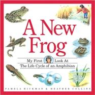 A New Frog
