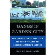 Gangs in Garden City How Immigration, Segregation, and Youth Violence are Changing America's Suburbs