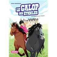 Le Galop des Etoiles - Un cheval pour Ariana - Tome 1