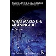 What Makes Life Meaningful?