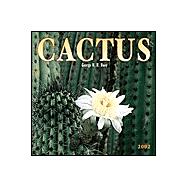 Cactus, 2002 Calendar