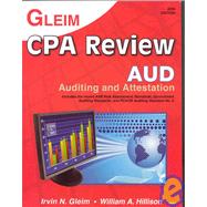 CPA Review 2008: Auditing