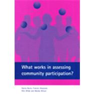 What Works In Assessing Community Participation?