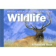 Rocky Mountain National Park Wildlife : A Postcard Book