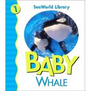 Baby Killer Whale San Diego Zoo