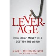 Leverage : How Cheap Money Will Destroy the World