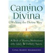 Camino Divina - Walking the Divine Way