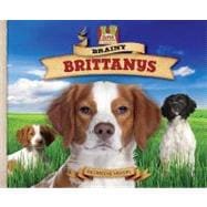 Brainy Brittanys,9781604536164