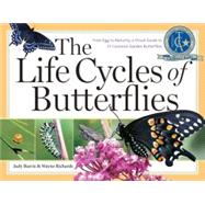 The Life Cycles of Butterflies From Egg to Maturity, a Visual Guide to 23 Common Garden Butterflies