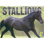 Stallions 2006 Calendar