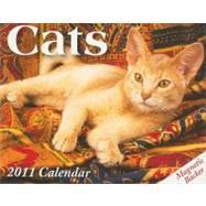 Cats; 2011 Mini Day-to-Day Calendar