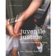 Juvenile Justice : A Guide to Practice and Theory