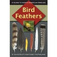Bird Feathers A Guide to North American Species