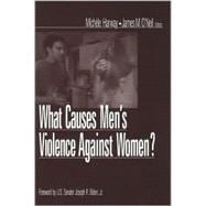 What Causes Men's Violence Against Women?