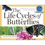 The Life Cycles of Butterflies