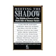 Meeting the Shadow : The Hidden Power of the Dark Side of Human Nature