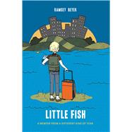 Little Fish A Memoir