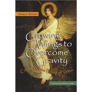 Growing Wings to Overcome Gravity : Criticism As the Pursuit of Virtue