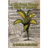 A Lily Grows Through a Valley of Concrete
