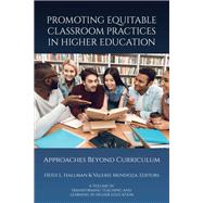 Promoting Equitable Classroom Practices in Higher Education: Approaches Beyond Curriculum
