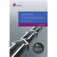 Audit and Accounting Guide