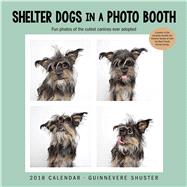 Shelter Dogs in a Photo Booth 2018 Wall Calendar