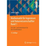 Mathematik für Ingenieure und Naturwissenschaftler Band 1