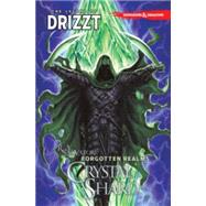 Dungeons & Dragons The Legend of Drizzt 4
