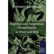 Reptilien Und Amphibien Deutschlands in Wort Und Bild