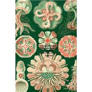 Ernst Haeckel Discomedusae 98 Jellyfish