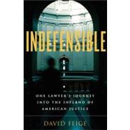 Indefensible : One Lawyer's Journey into the Inferno of American Justice