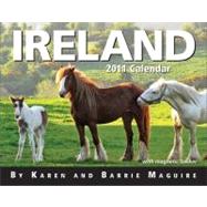 Ireland; 2011 Mini Day-to-Day Calendar
