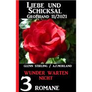 Wunder warten nicht: Liebe und Schicksal Großband 3 Romane 11/2021