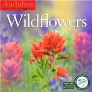 Audubon Wildflowers 2016 Calendar
