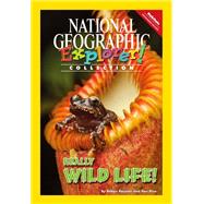 Explorer Books (Pathfinder Science: Habitats): Really Wild Life!