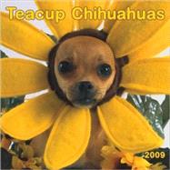 Teacup Chihuahuas 2009 Calendar