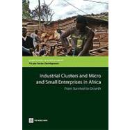 Industrial Clusters and Micro and Small Enterprises in Africa From Survival to Growth